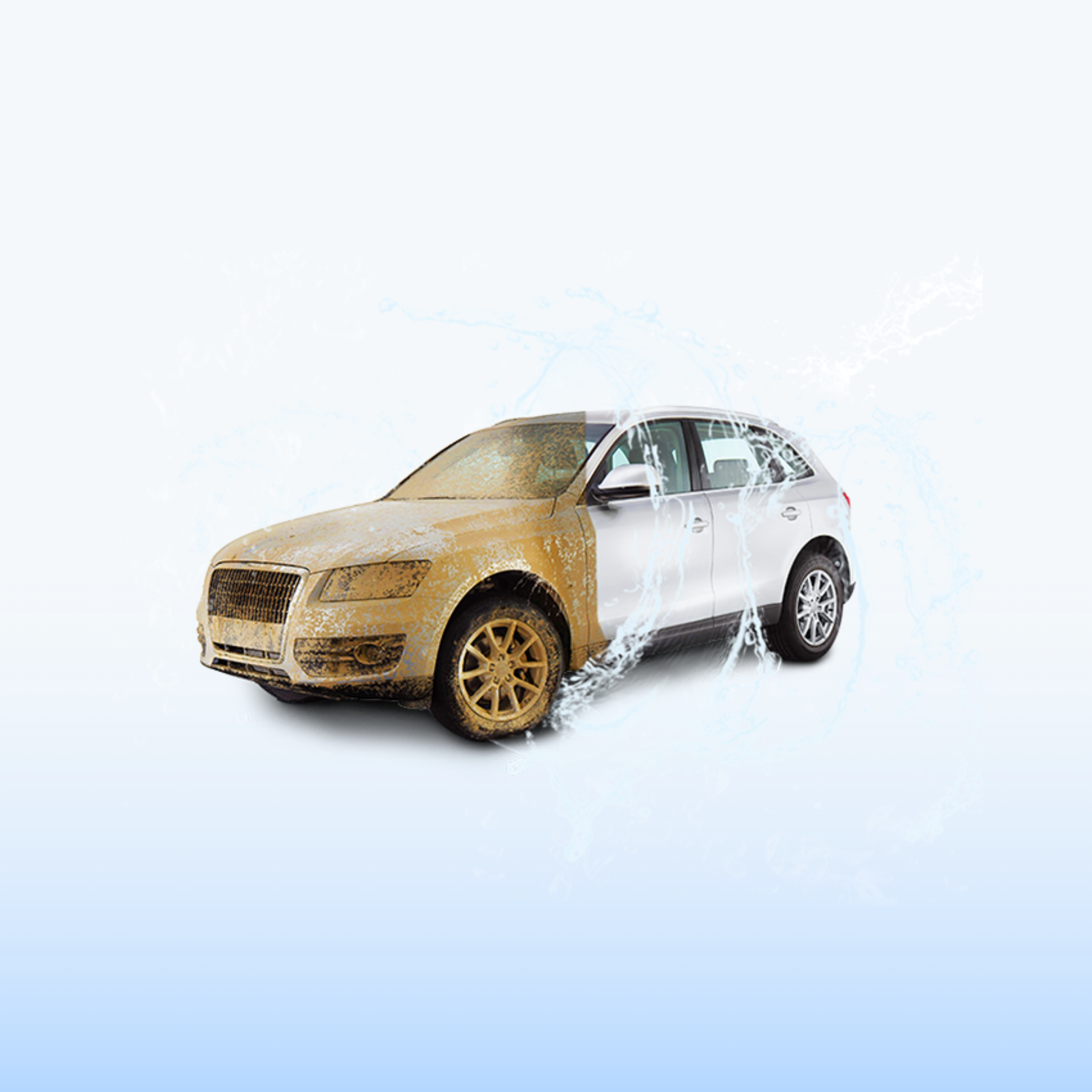 Exterior Care